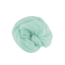 " Gamma" TFS- 050 " Шерсть для валяния" 100% полутонкая шерсть 50г №3855 мята